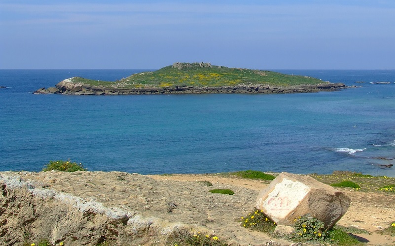 /fileuploads/COSTA VICENTINA/quintadosardanito_costa_vicentina_zambujeiradomar_alentejo_turismo_praia_ilha_do_pessegueiro_porto_covo.jpg